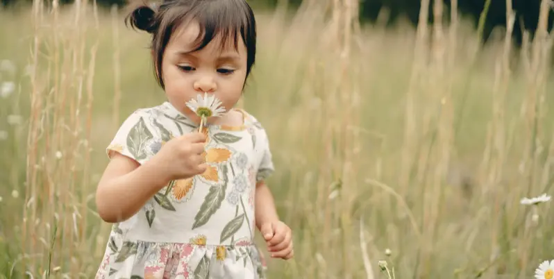 Juan encalada ibdqbhx8vqg unsplash